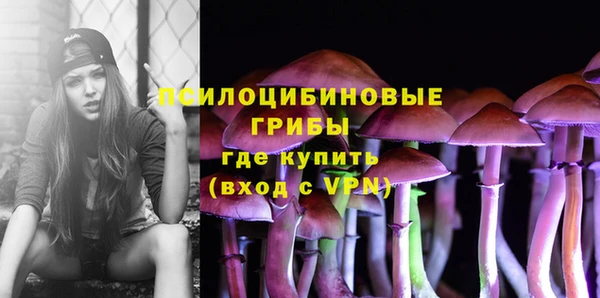 ПСИЛОЦИБИНОВЫЕ ГРИБЫ Армянск