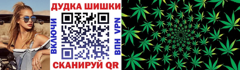где найти наркотики  Сланцы  Канабис индика 